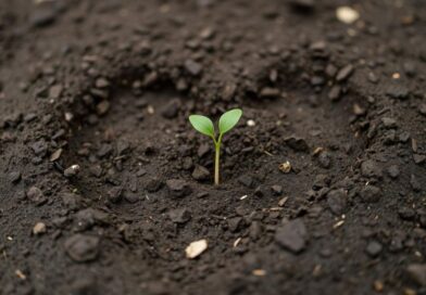 Como posso ter fé como um grão de mostarda?